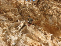 SNV80268.JPG